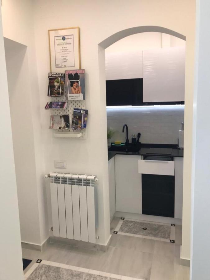 Victoria Luxury Apartment 11 부쿠레슈티 외부 사진